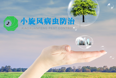 小旋风虫控
