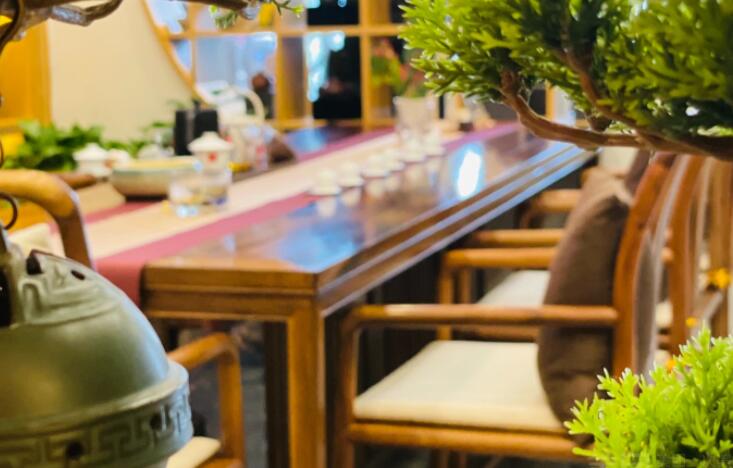 朝阳区茶楼溢茗坊·雨林古树茶