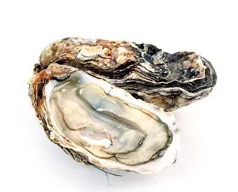 男性吃哪些食物养生